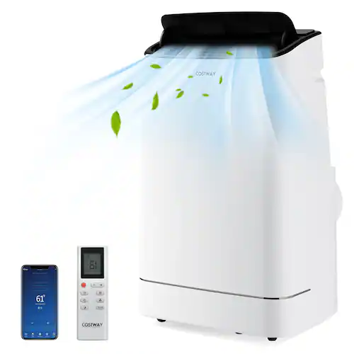 Air Conditioners with Heaters