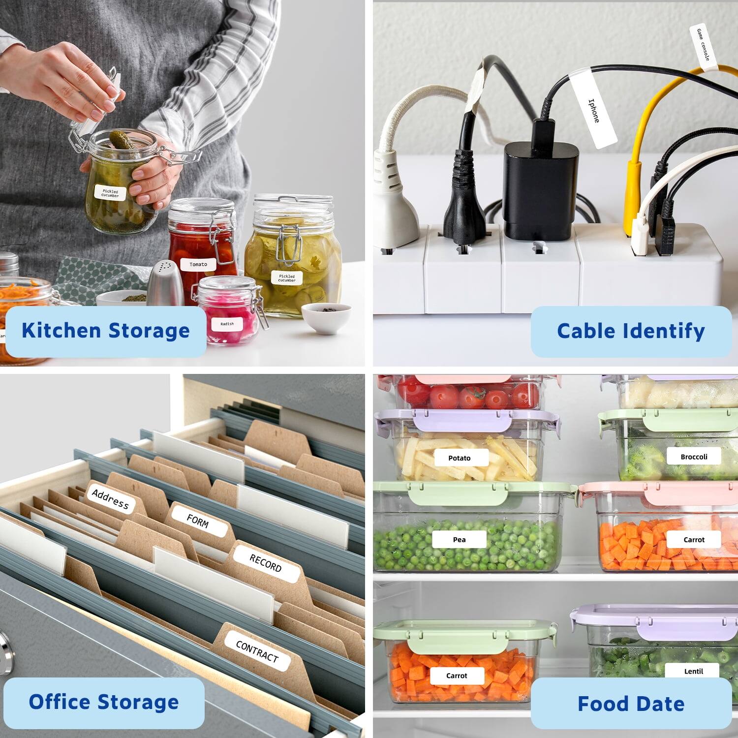 - Iphone -g - Tanute o - Kitchen Storage - Cable Identify
- Potato
- Broccoli
- Address
- FORM
- RECORD
- Pea
- Carrot
- CONTRACT
- Carrot
- Lentil
- Office Storage
- Food Date