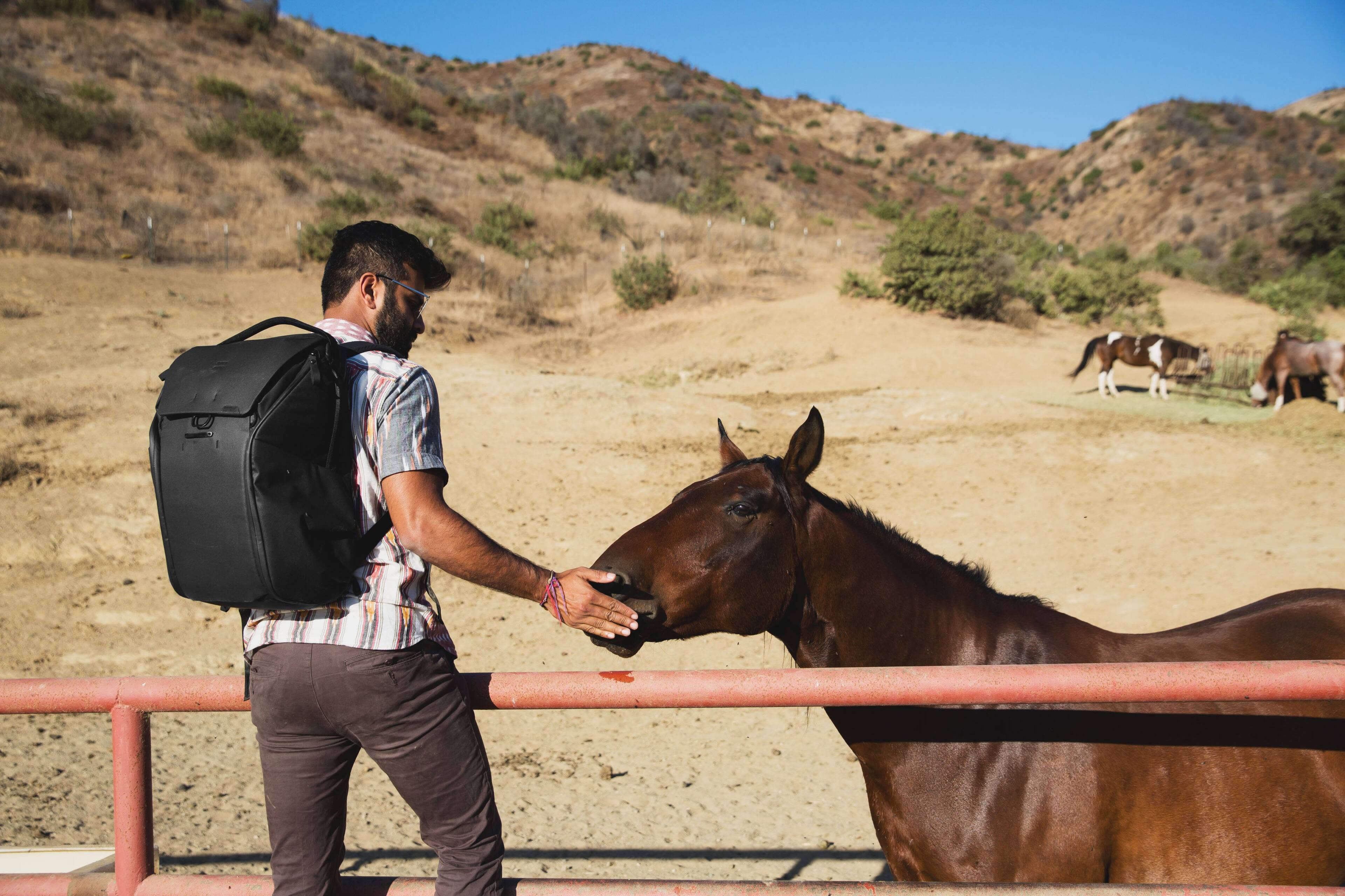 Alt View 16. Peak Design - Everyday Backpack V2 20L - Kelp.