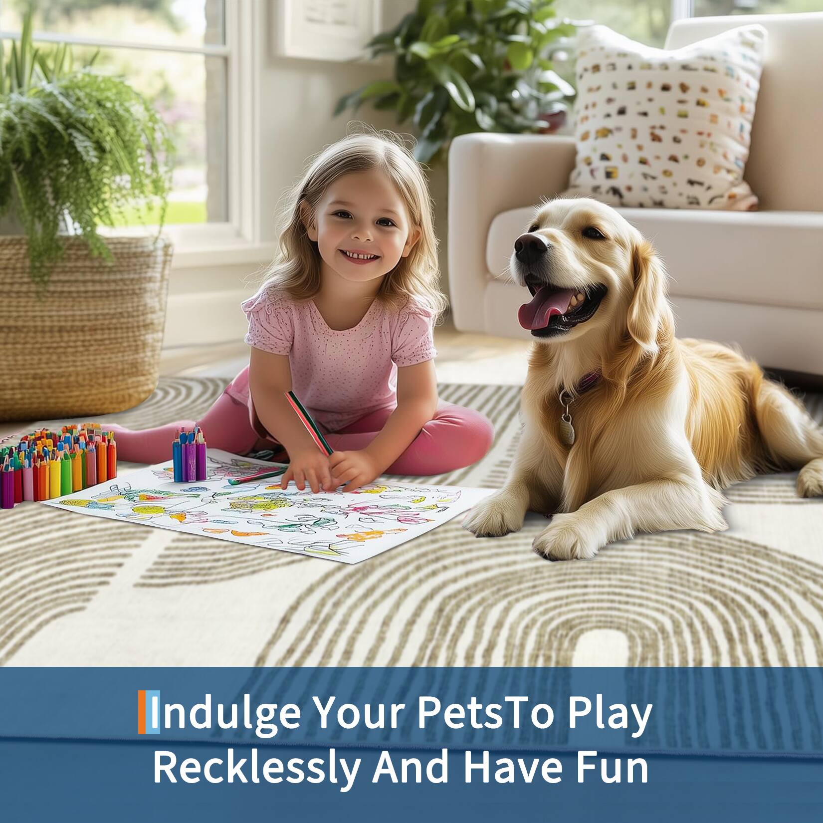 Indulge Your Pets To Play Recklessly And Have Fun