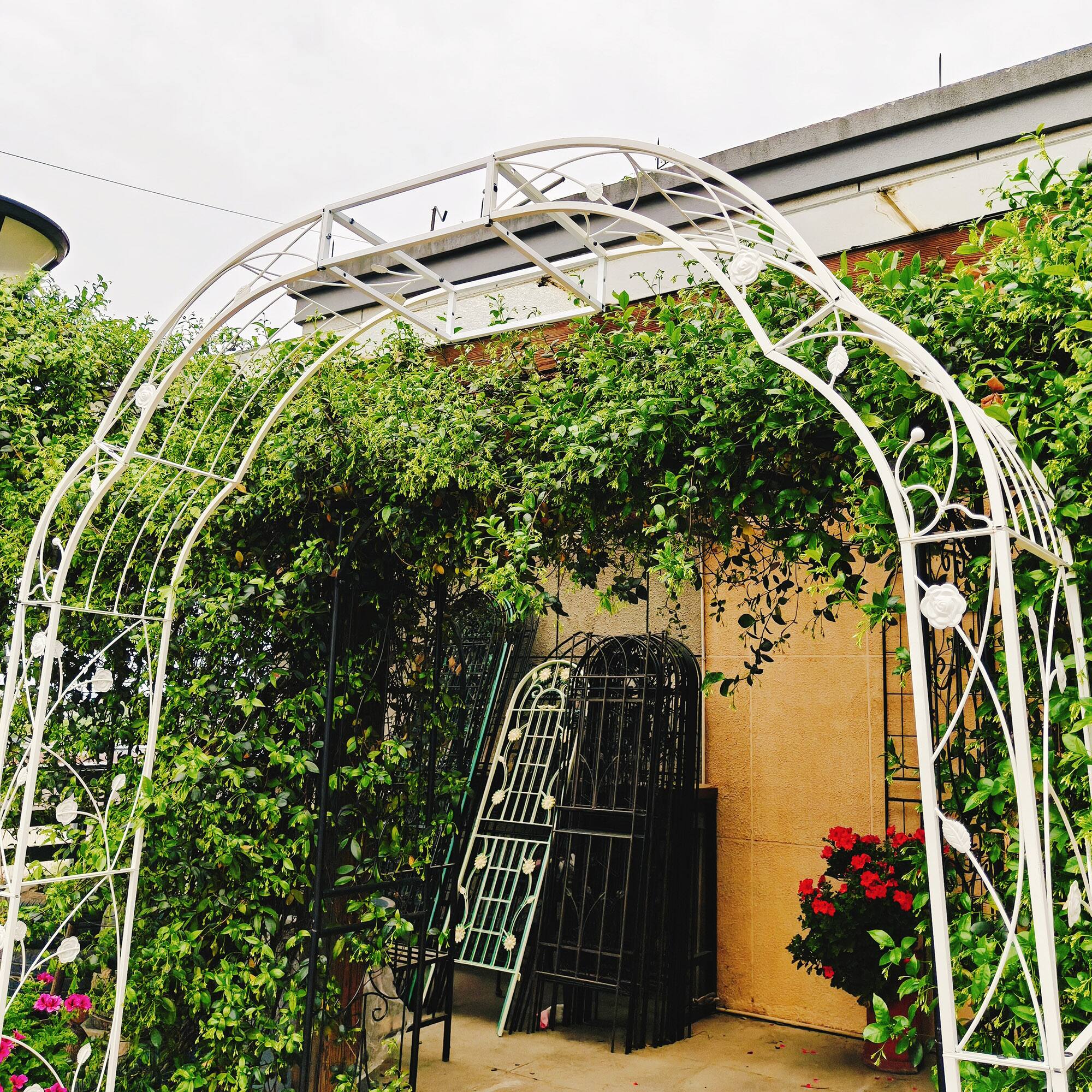 Alt View 2. Loheer - Metal Garden Arch Trellis 6.2 ft W x 8.2 ft H for Climbing Plants Outdoor Rose Arbor - Cream White.