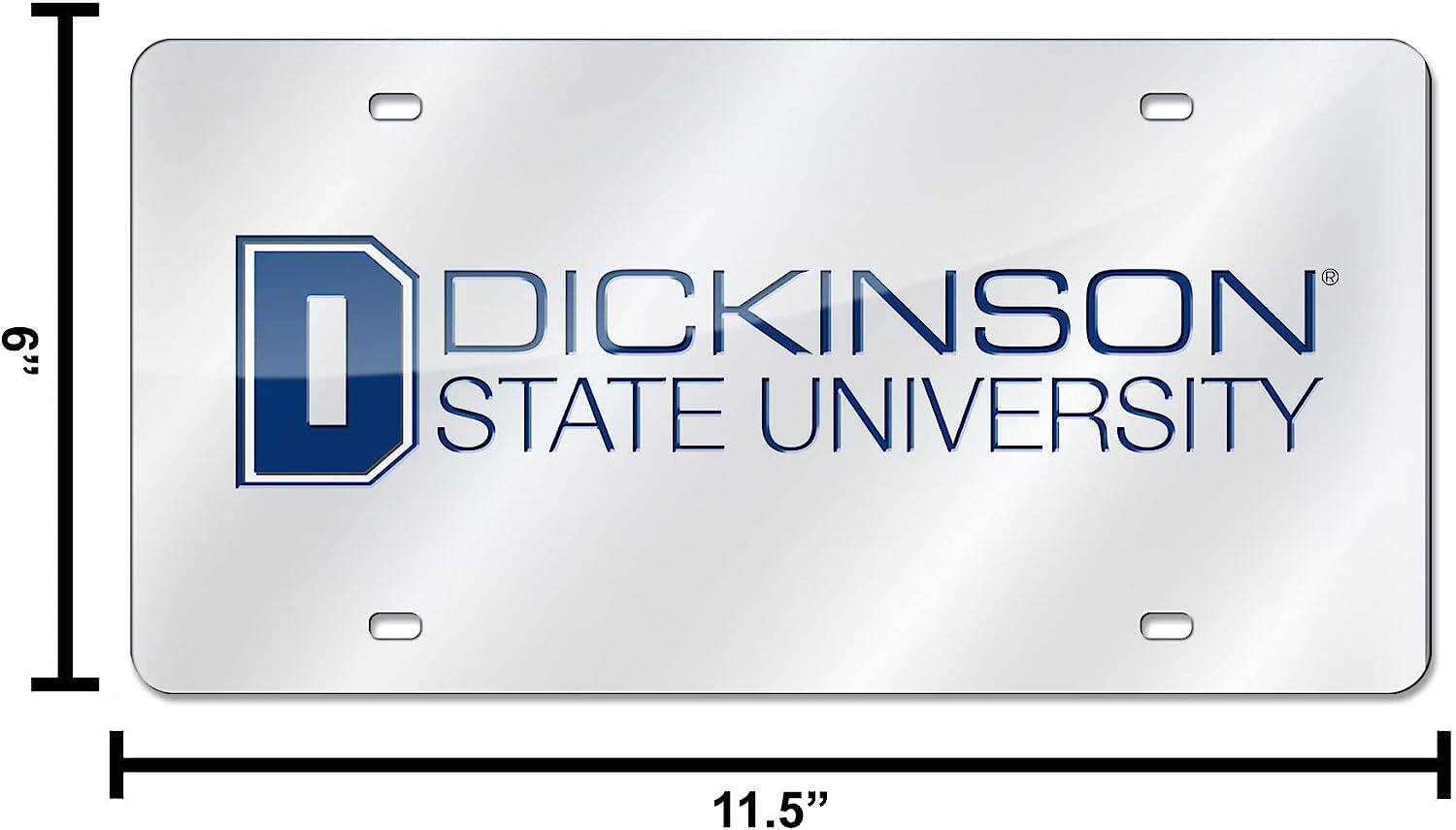 DICKINSON STATE UNIVERSITY

6" x 11.5"