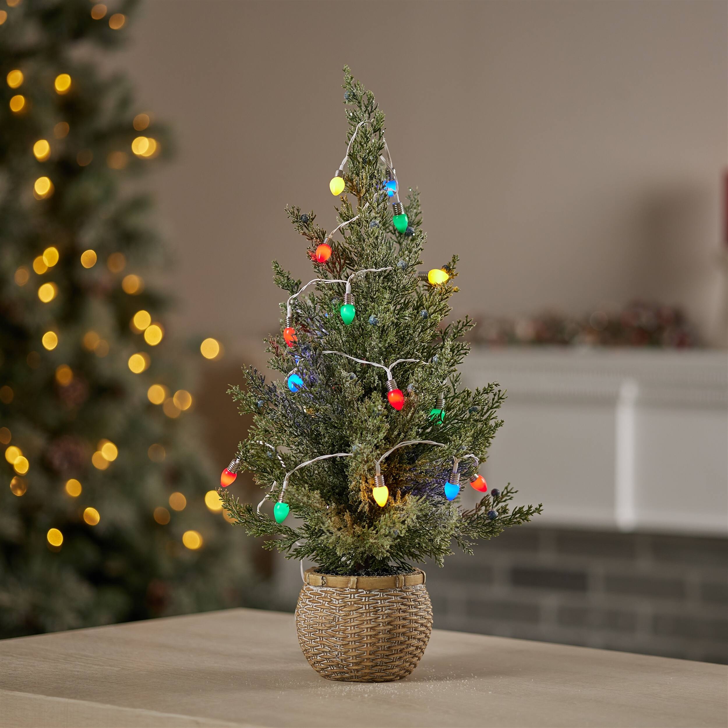 Angle. BreeBe - LED Lighted Strand with Classic Bulb Design (Set of 6 Strands) - Blue, Green, Red.