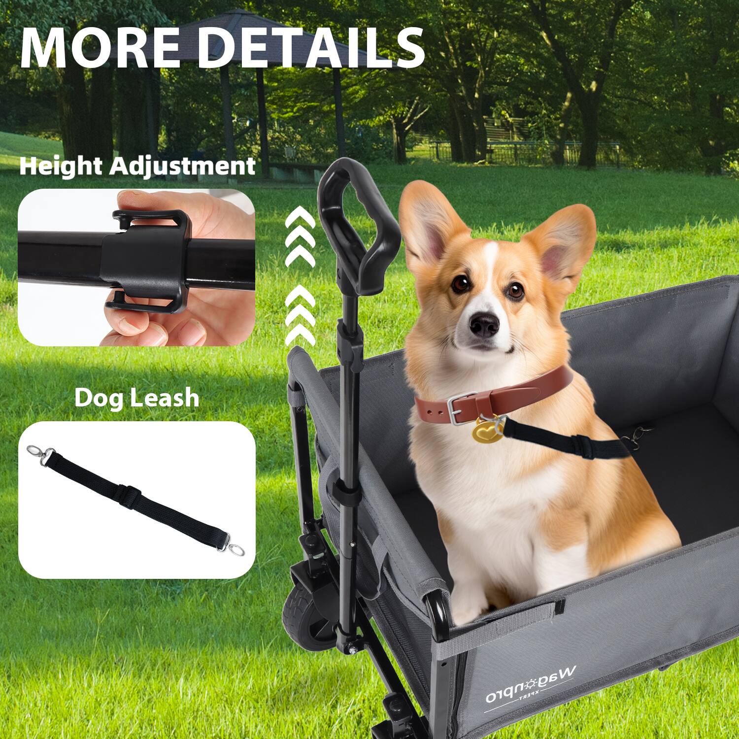 MORE DETAILS

Height Adjustment

Dog Leash
