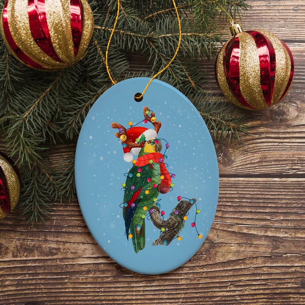 Back. OrnamentallyYou - Parrot Christmas Ornament - Multi-colored.