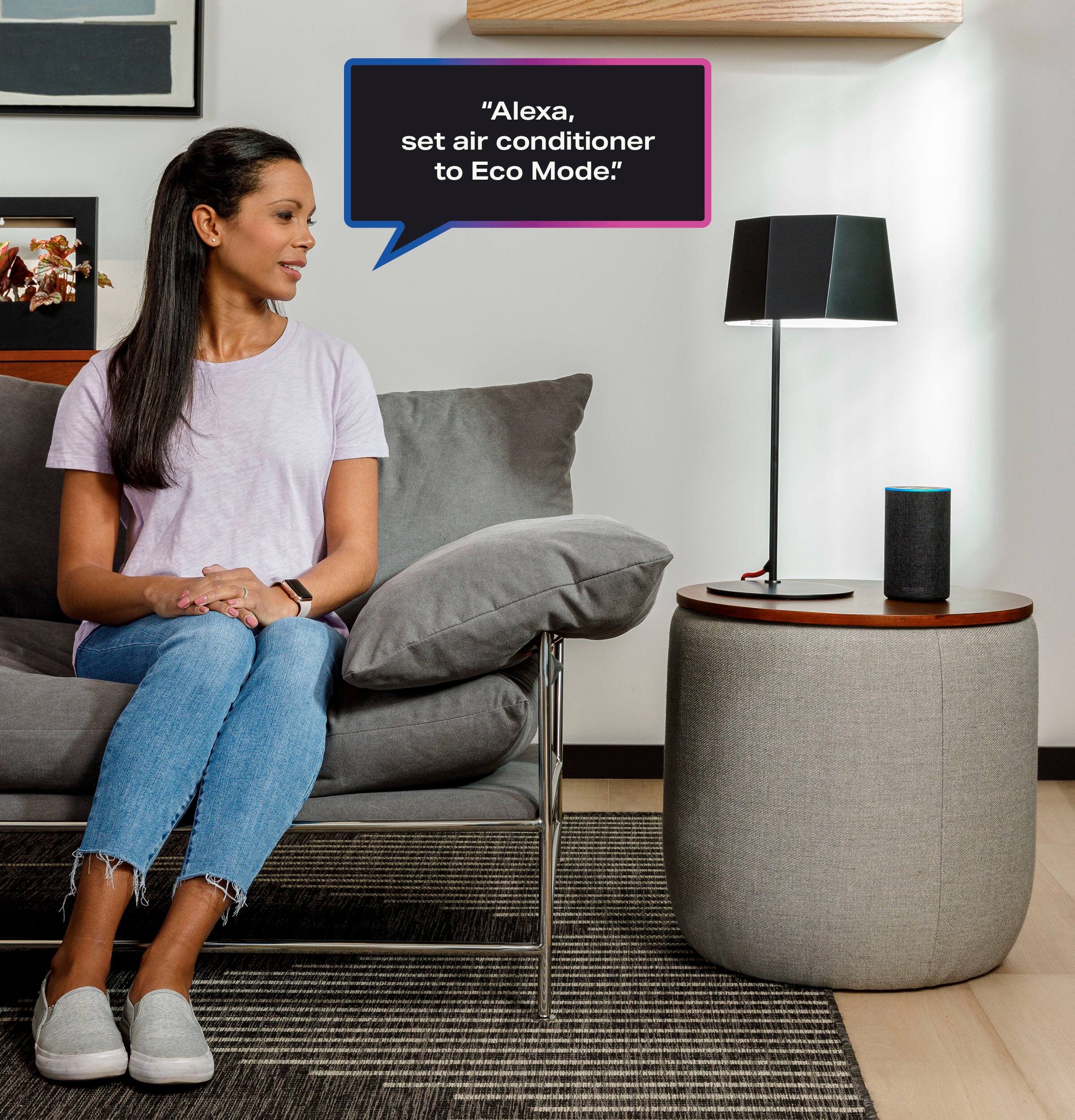 "Alexa, set air conditioner to Eco Mode."