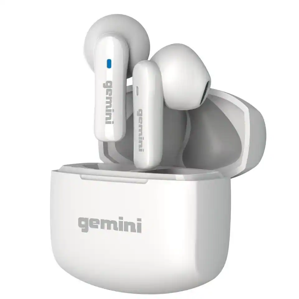 gemini gemini gemini