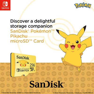 SanDisk SDSQXAO-256G-GN6ZK Memory Card 256 GB microSDXC SanDisk SDSQXAO-256G-GN6ZK Memory Card 256 GB microSDXC