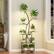 Angle. U-HOMY - 8-Tier Tall Metal Plant Stand with Grow Lights, Rolling Indoor Plant Shelf with Wheels for Small Spaces - Brown.