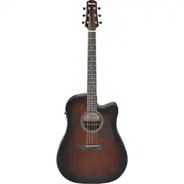 Ibanez - Advanced Acoustic Series AAD51CE Acoustic Electric Guitar