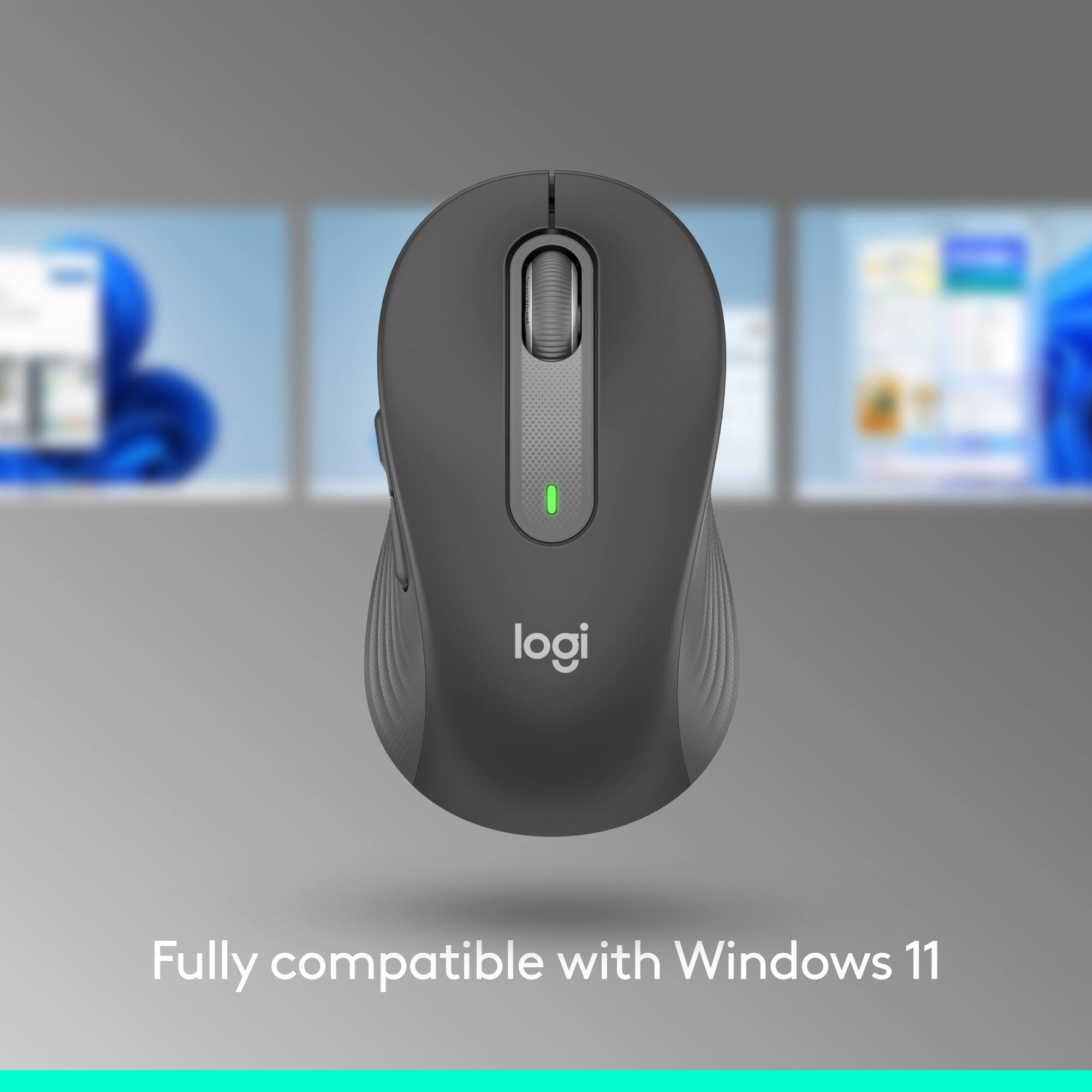 logi
Fully compatible with Windows 11