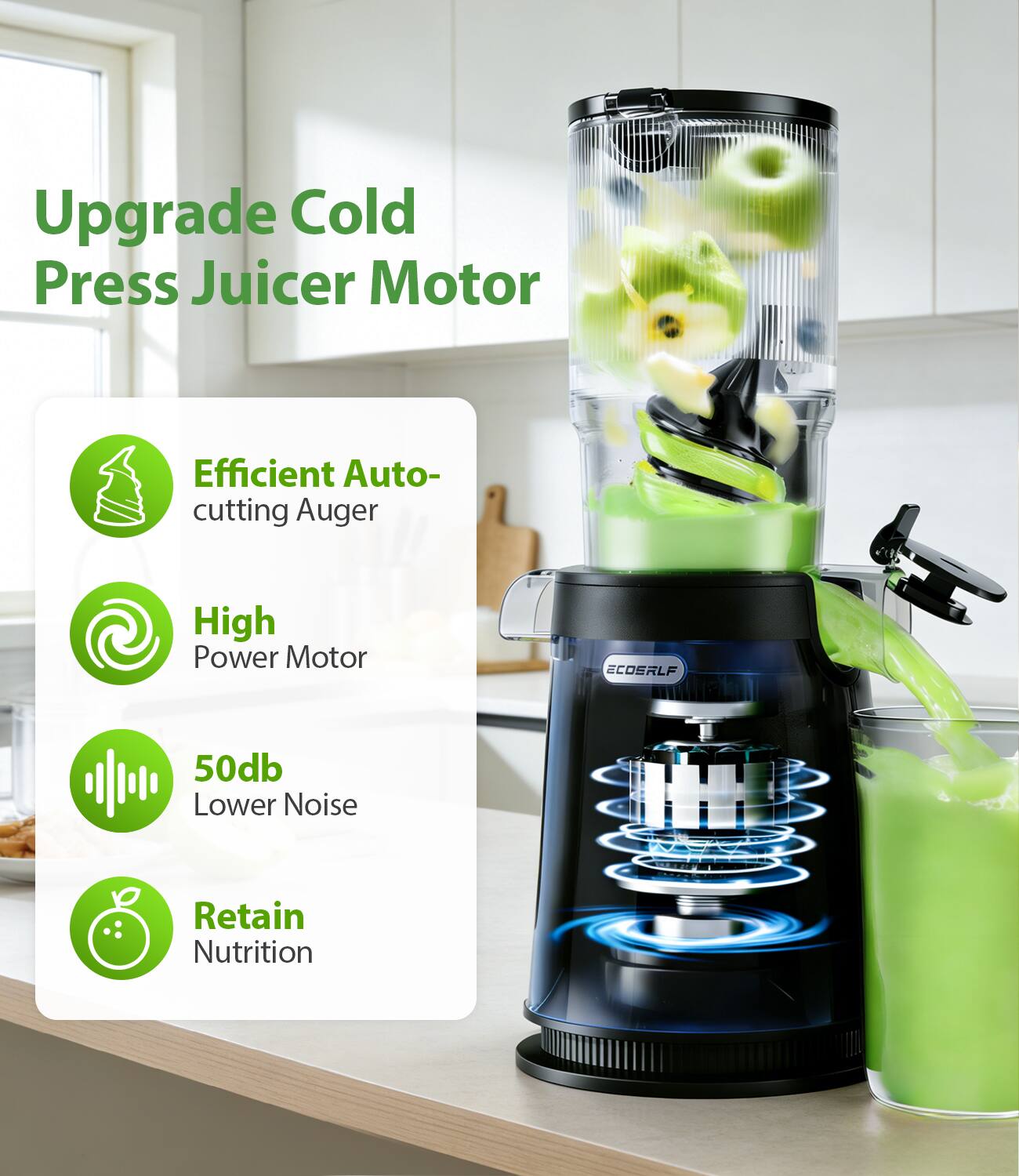 Upgrade Cold Press Juicer Motor

- Efficient Auto-cutting Auger
- High Power Motor
- 50db Lower Noise
- Retain Nutrition