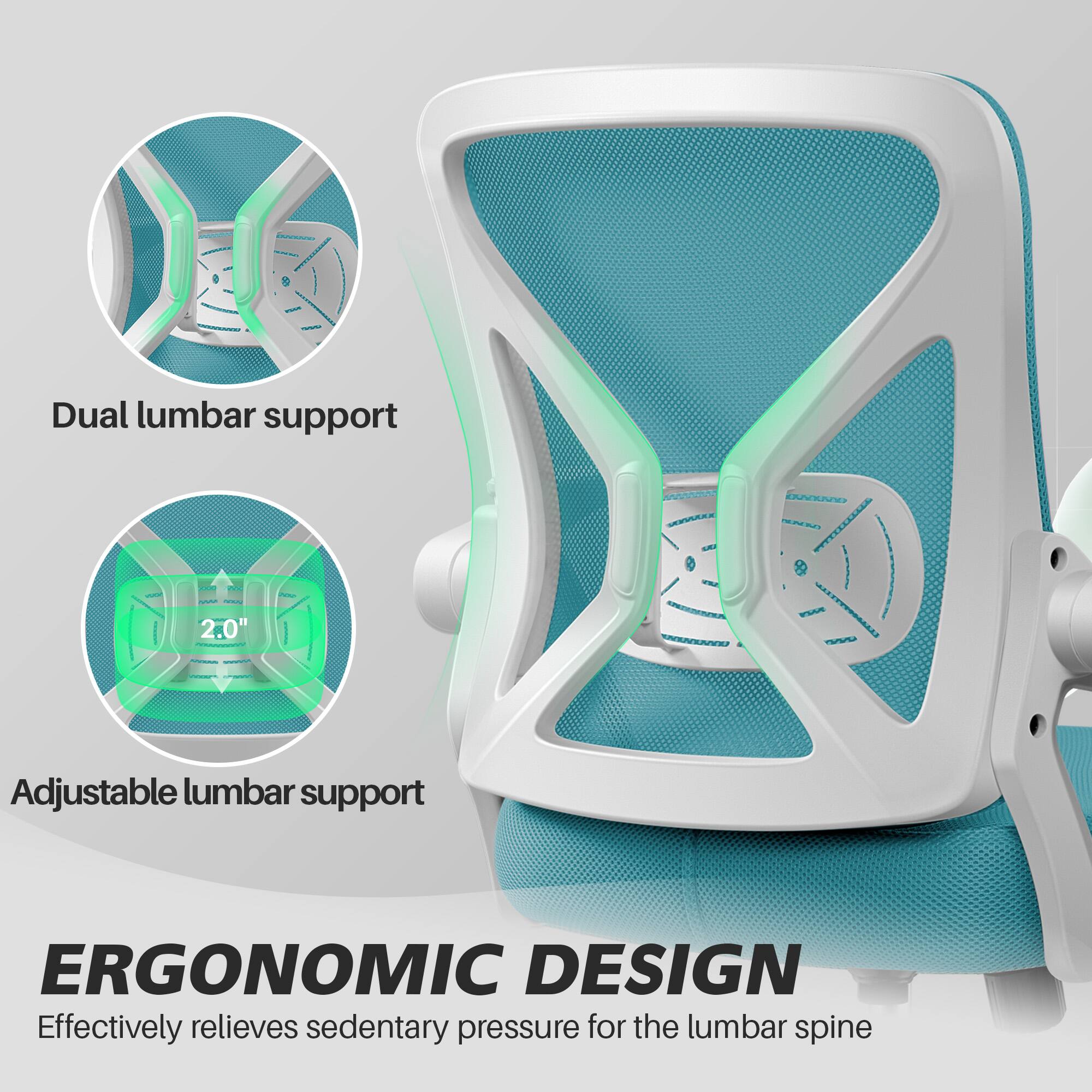 Dual lumbar support

Adjustable lumbar support

ERGONOMIC DESIGN
Effectively relieves sedentary pressure for the lumbar spine