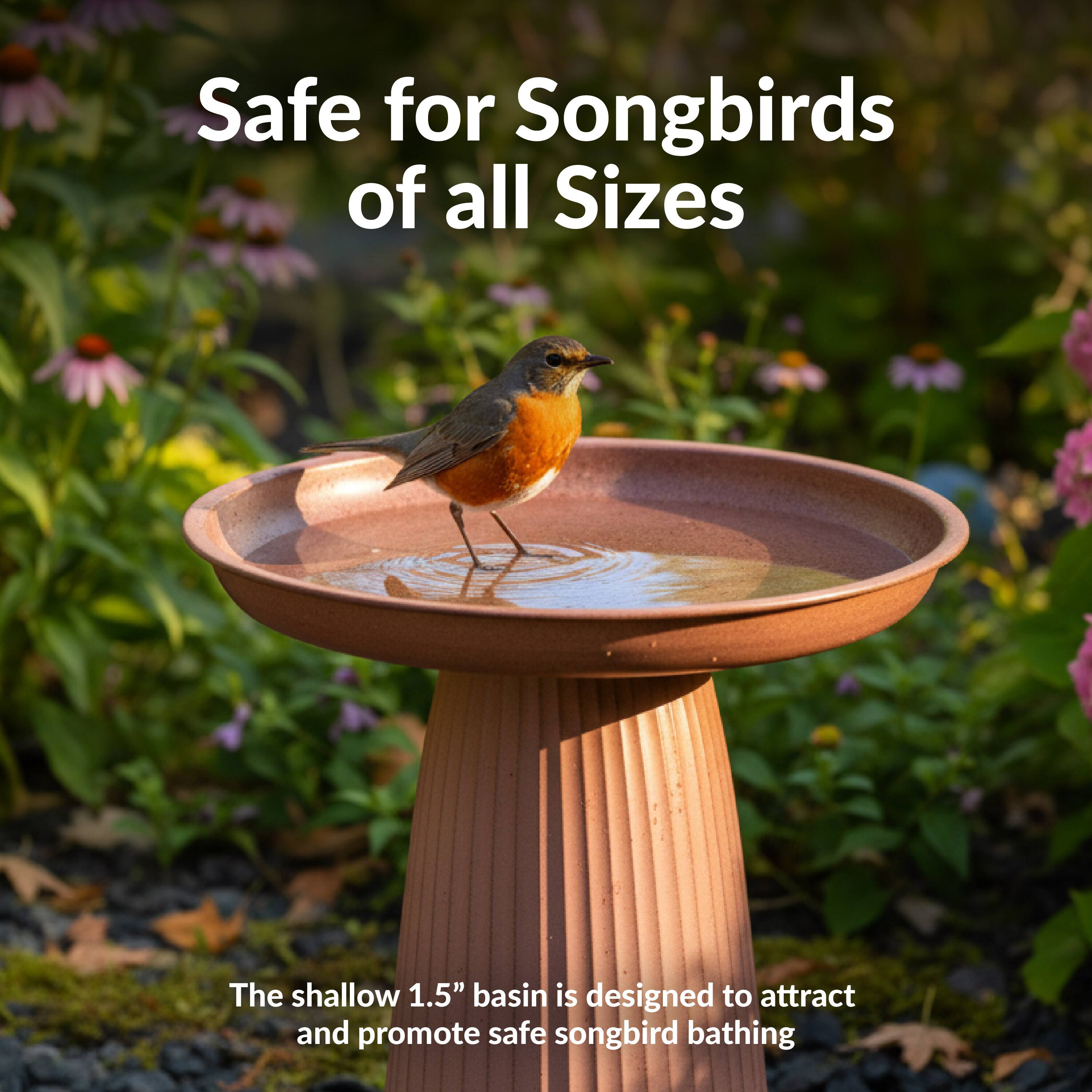 Safe for Songbirds of all Sizes

The shallow 1.5" basin is designed to attract and promote safe songbird bathing