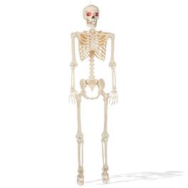 BOO BOX - Halloween Skeletons - Scary Halloween Decorations for Outside - White