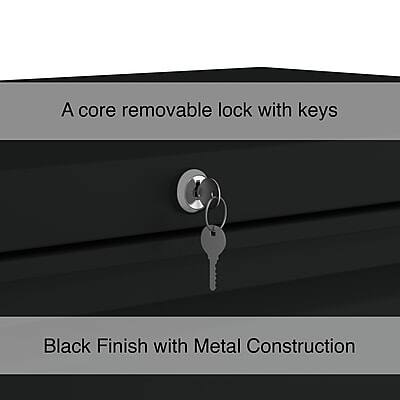 A core removable lock with keys  
Black Finish with Metal Construction