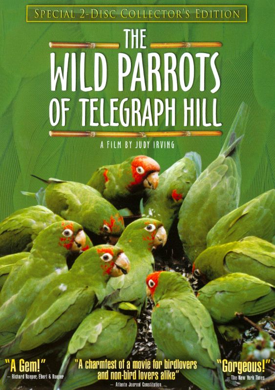 The Wild Parrots of Telegraph Hill [2 Discs] [Collector's Edition] [DVD] [2004]