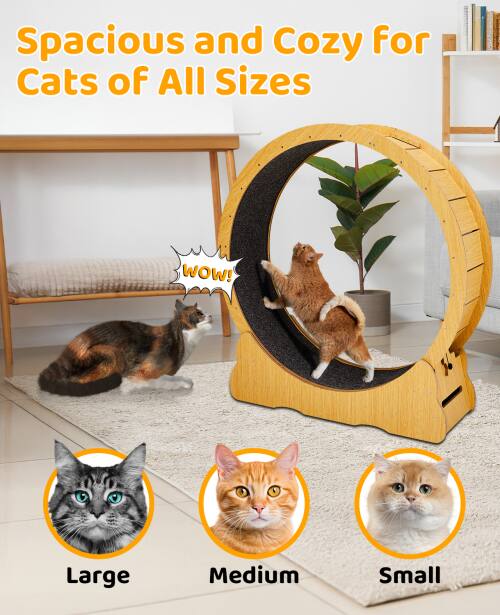 Spacious and Cozy for Cats of All Sizes

WOW!

Large
Medium
Small