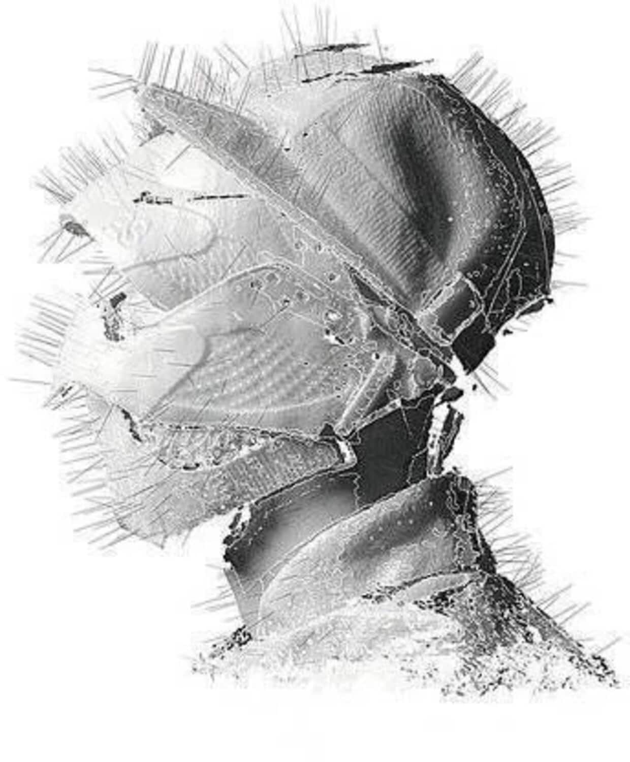 Woodkid - Golden Age   - VINYL LP price history on PriceWatchPro