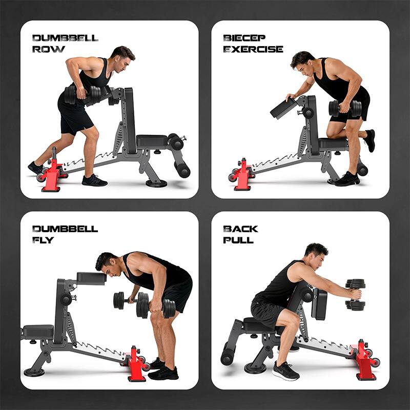 Dumbbell Row  
Bicep Exercise  
Dumbbell Fly  
Back Pull