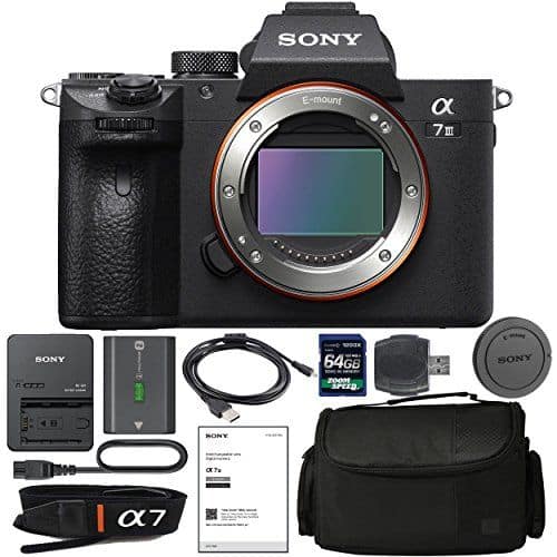 Bundle - Sony - Alpha a7 III Mirrorless Camera with NP-FZ100 Battery Charger price history on PriceWatchPro
