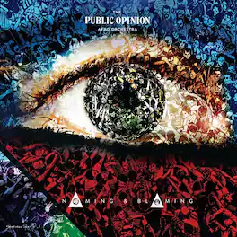 Public Opinion Afro Orchestra - Naming & Blaming - VINYL LP