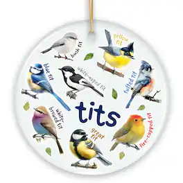 OrnamentallyYou - Whimsical Bird Ceramic Ornament, Funny Birdwatcher Gift for Birder - Multi-colored