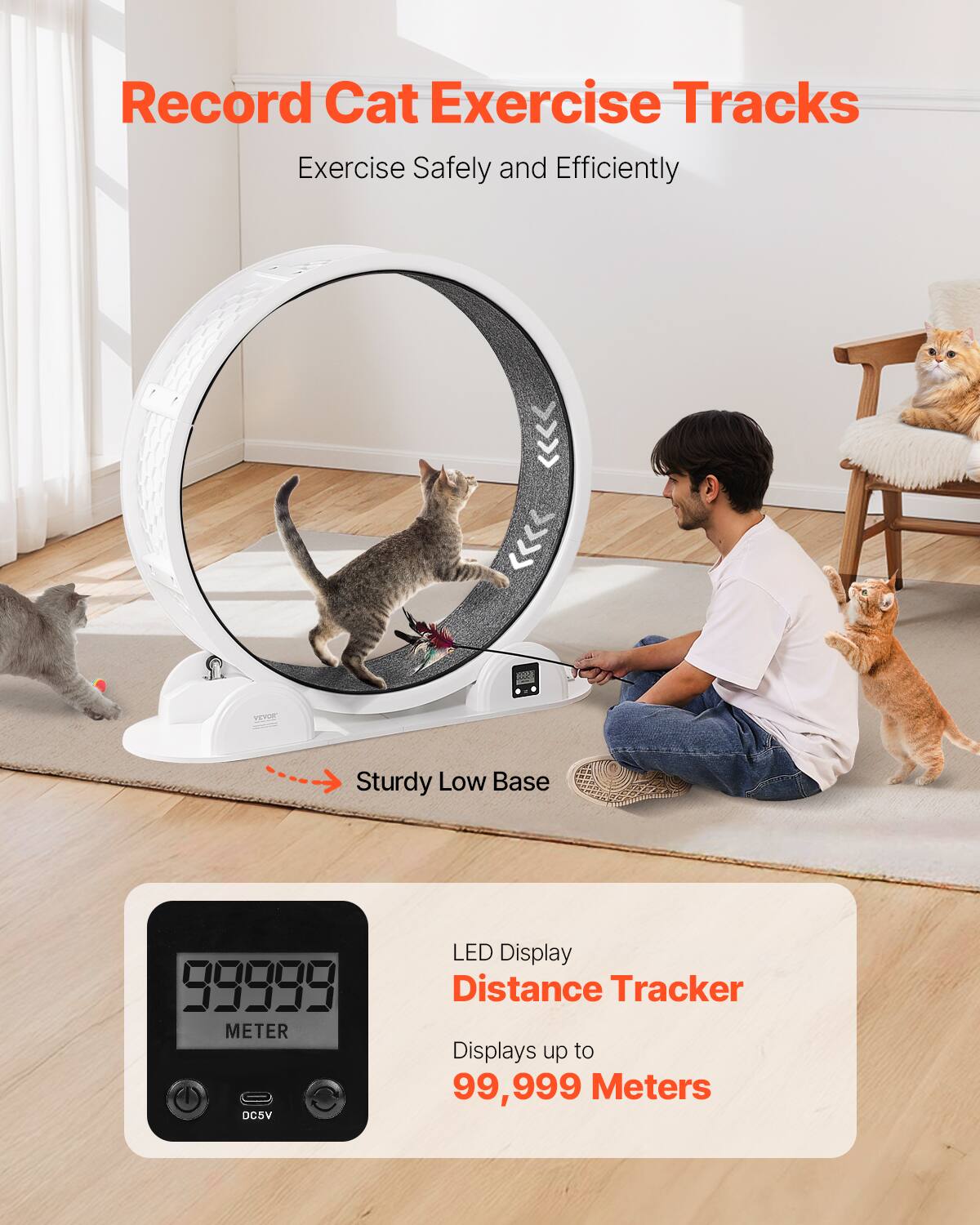 Record Cat Exercise Tracks  
Exercise Safely and Efficiently  

Sturdy Low Base  

LED Display Distance Tracker  
Displays up to 99,999 Meters