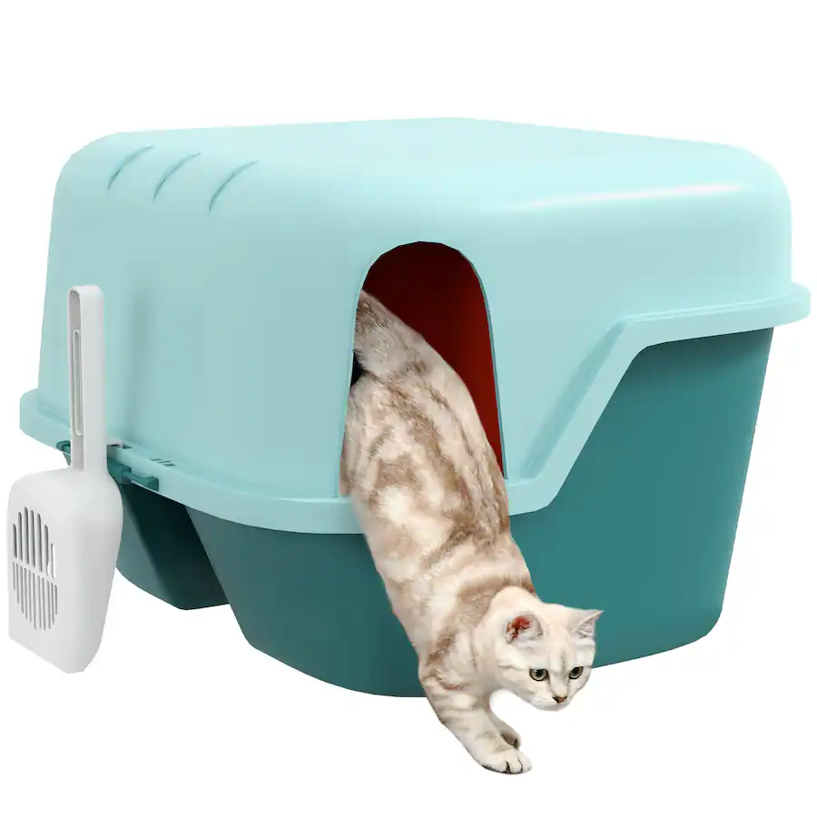 Amazon Cat Litter Box Hider Pawhut Cat Litter Box With Lid