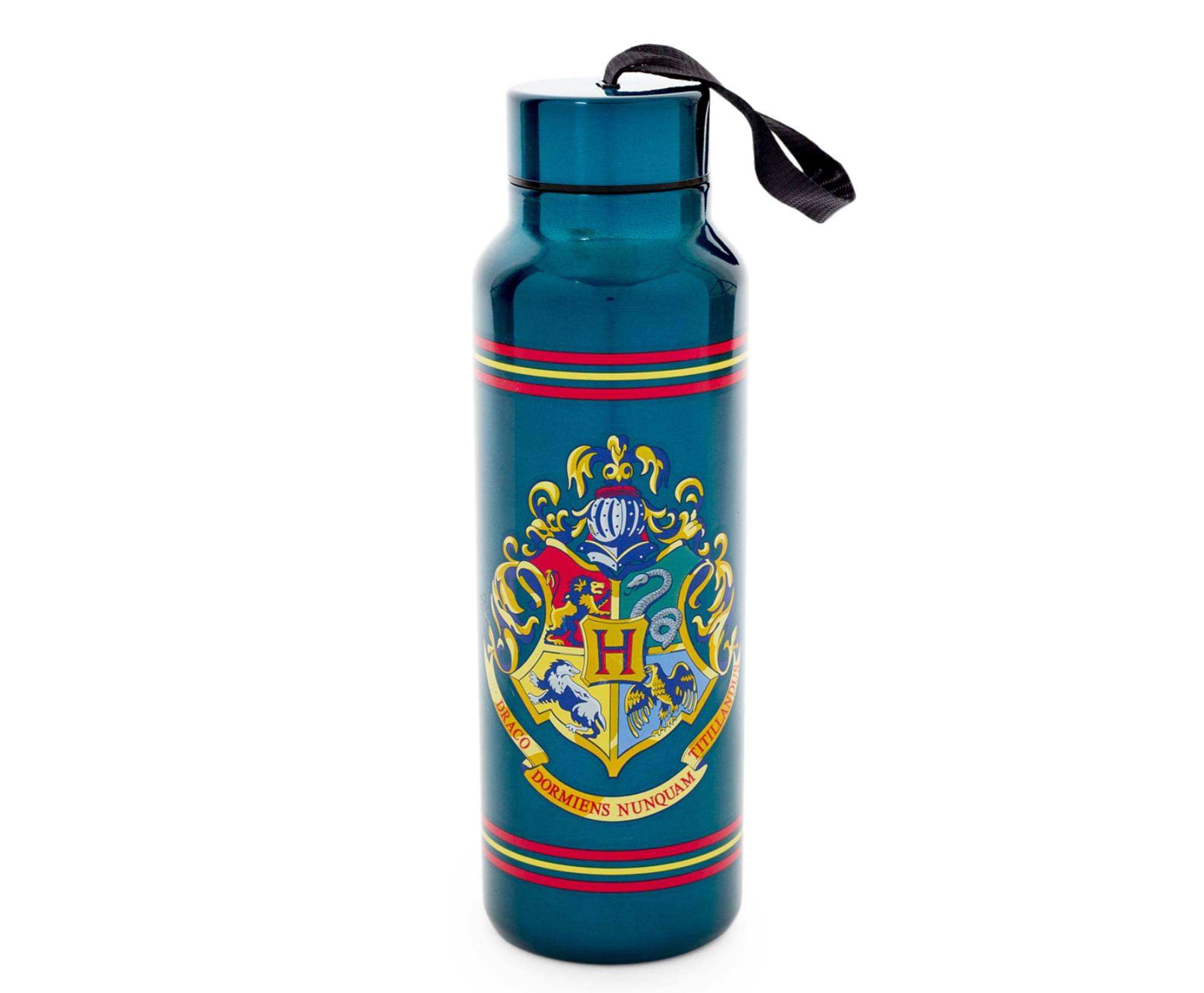 Silver Buffalo - Harry Potter Hogwarts Houses Stainless Steel Water Bottle | Holds 27 Ounces - Blue