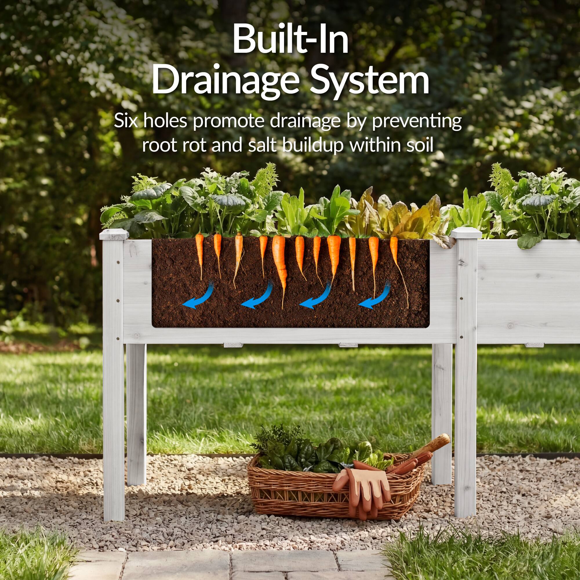 Built-In Drainage System  
Six holes promote drainage by preventing root rot and salt buildup within soil