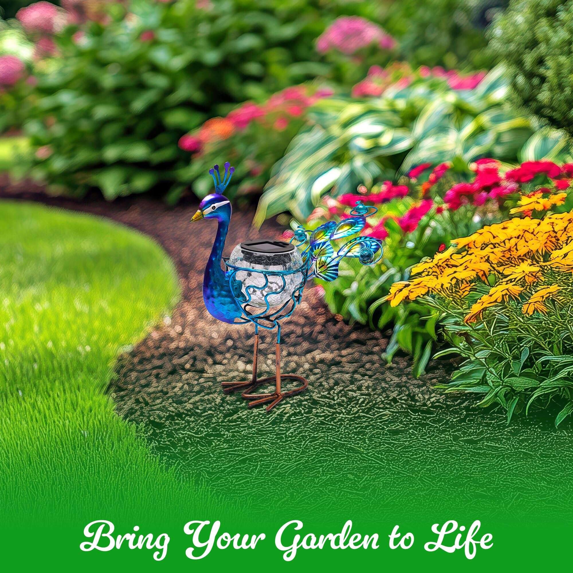 Bring Your Garden to Life