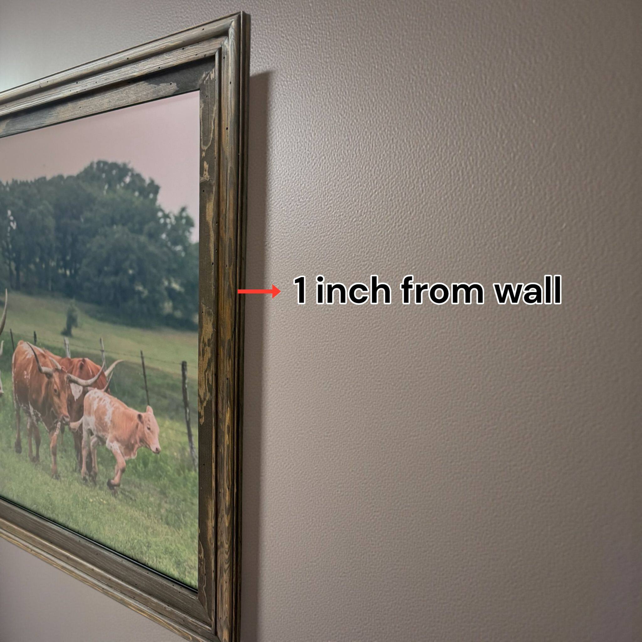 LAREDO FRAME FACTORY 65 inch Hisense Canvas TV Frame, Canvas TV by