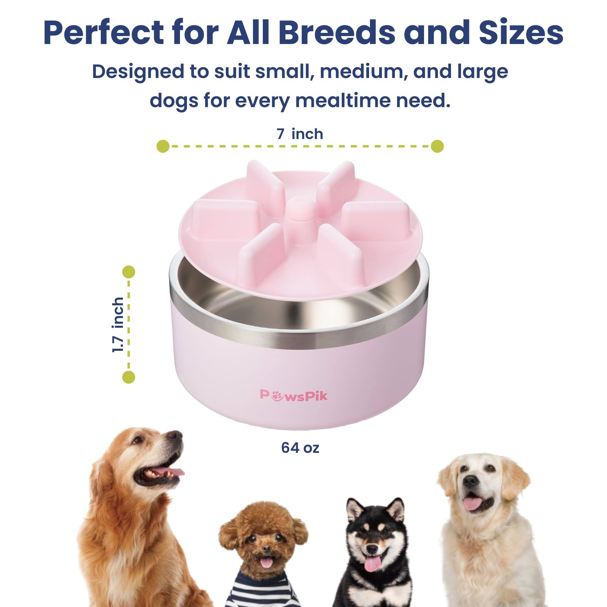 Perfect for All Breeds and Sizes  
Designed to suit small, medium, and large dogs for every mealtime need.  
7 inch  
1.7 inch  
PawsPik  
64 oz
