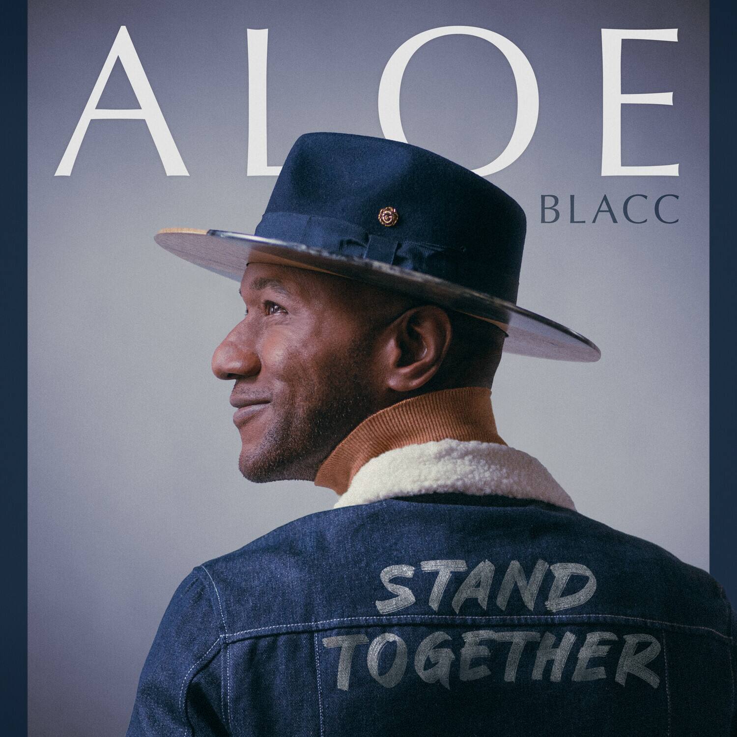 Aloe Blacc - Stand Together   - COMPACT DISCS [CD] price history on PriceWatchPro