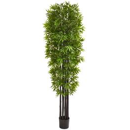 BreeBe - 7' Bamboo Tree with Black Trunks UV Resist (Indoor/Outdoor) - Green