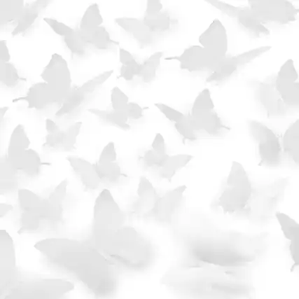 Front. Zulay Kitchen - Zulay 24pcs Removable DIY Decorations 3D Butterfly Wall Decor with 3 Different Sizes - White.