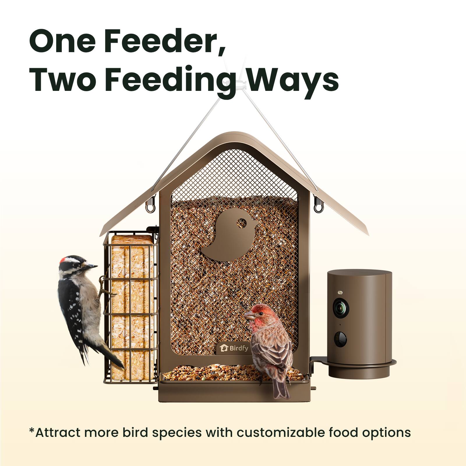 One Feeder, Two Feeding Ways

*Attract more bird species with customizable food options