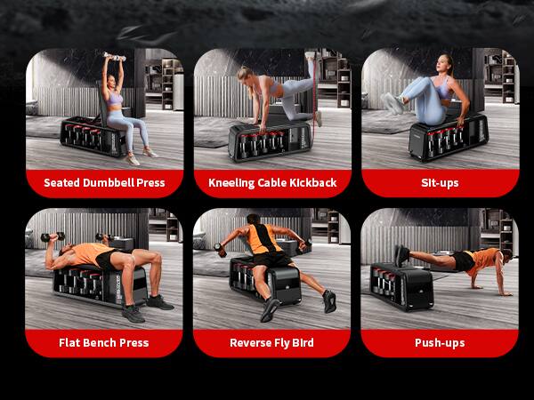 Seated Dumbbell Press  
Kneeling Cable Kickback  
Sit-ups  
Flat Bench Press  
Reverse Fly Bird  
Push-ups