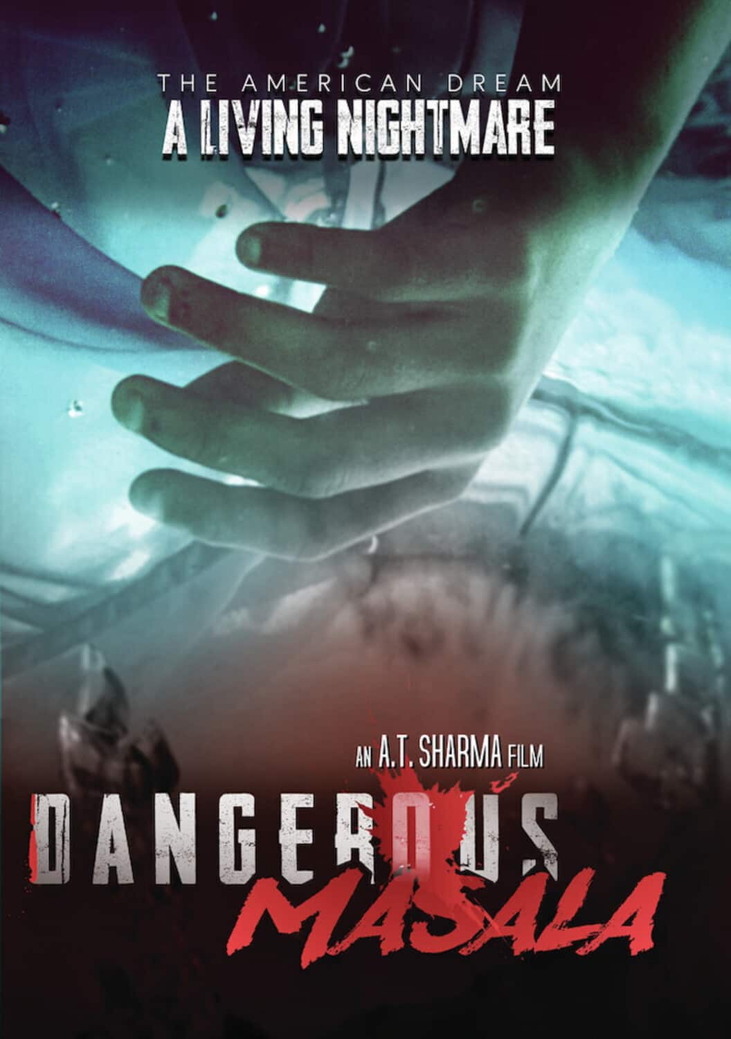 Dangerous Masala   - DVD