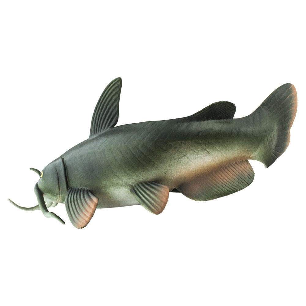Back. Safari Ltd. - Catfish Toy Figurine.