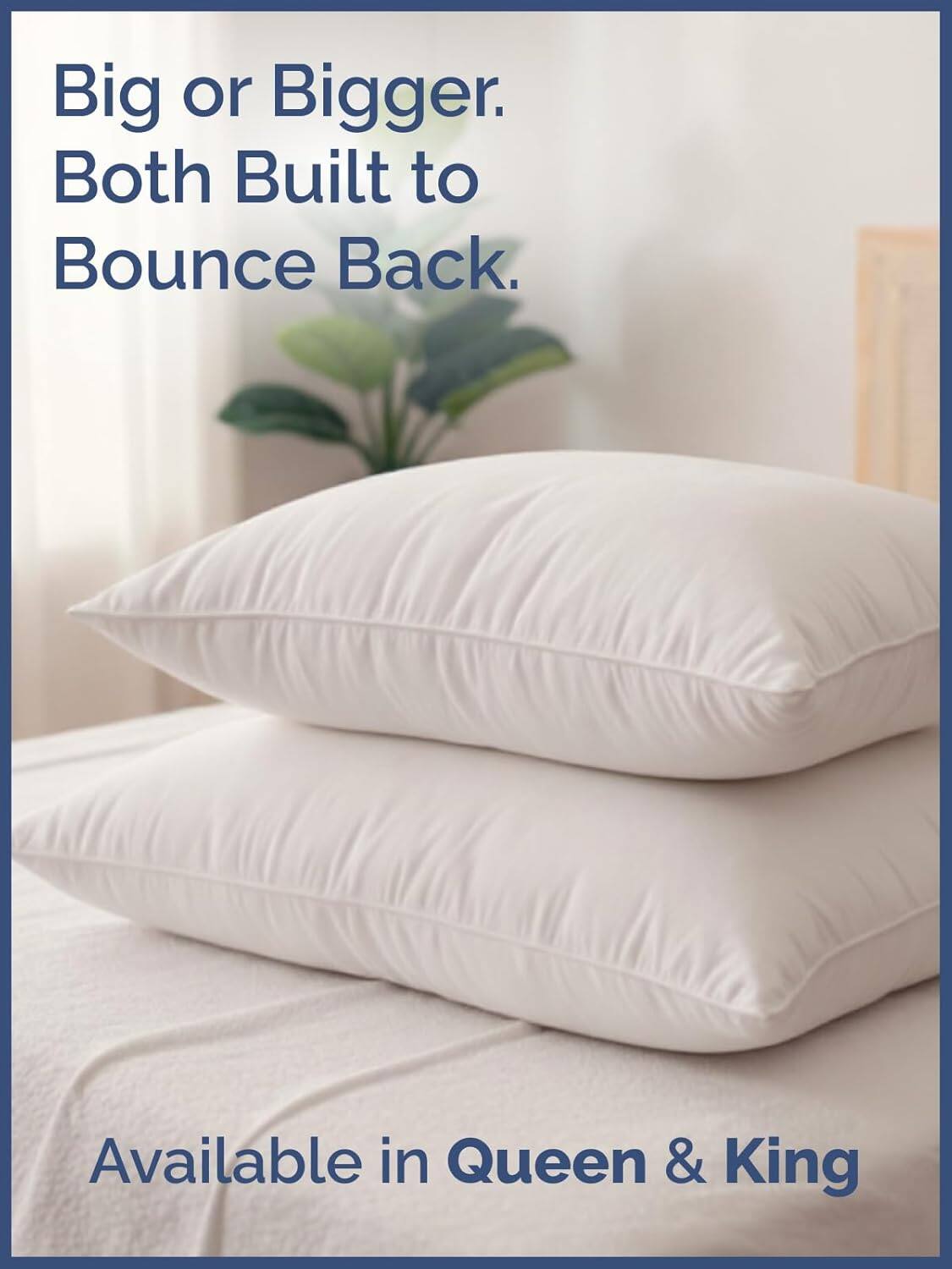 Big or Bigger.  
Both Built to Bounce Back.  
Available in Queen & King