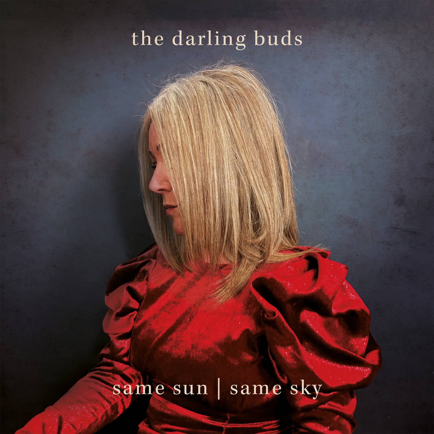 The Darling Buds - Same Sun/same Sky   - VINYL LP price history on PriceWatchPro