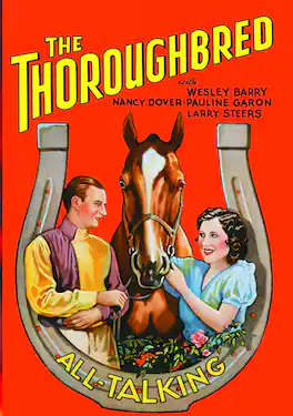 The Thoroughbred - DVD