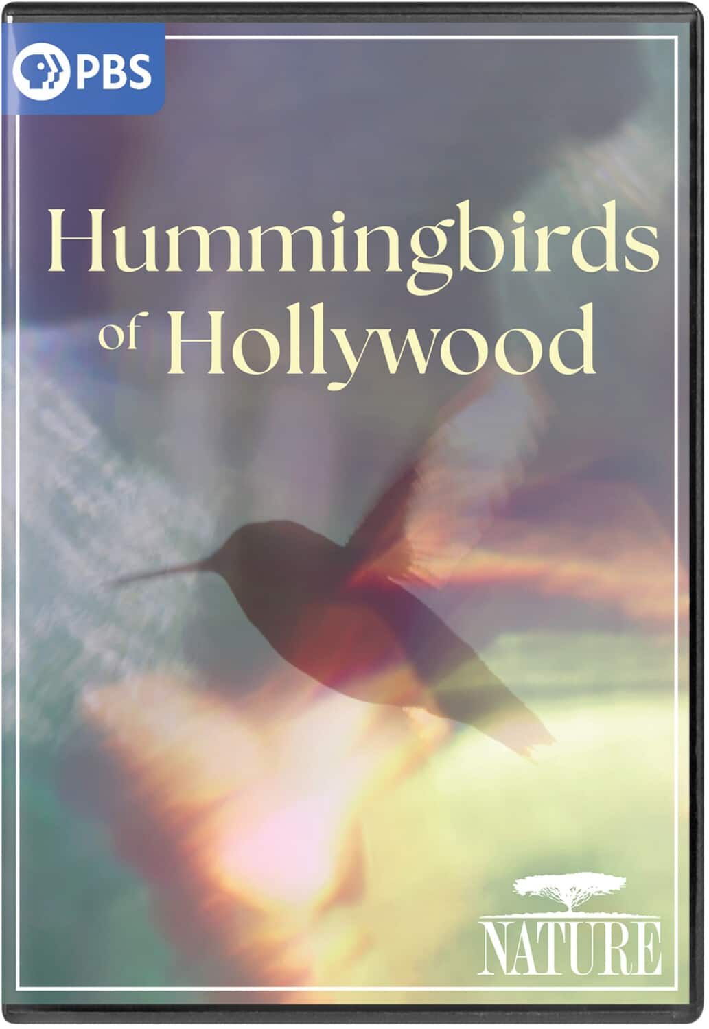 NATURE: Hummingbirds of Hollywood  - DVD