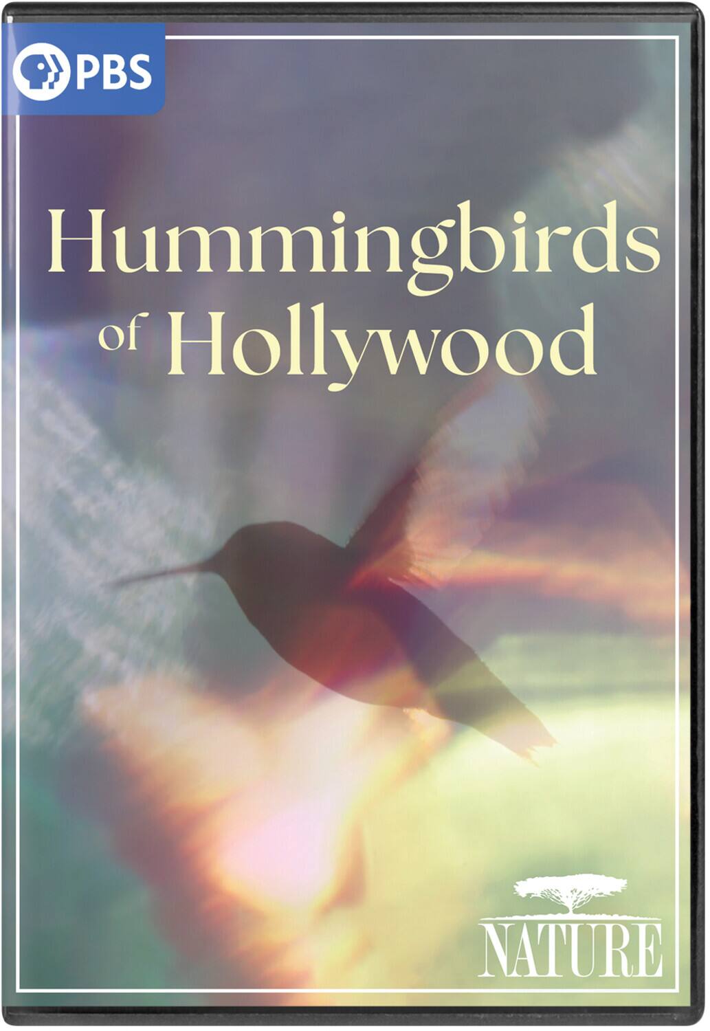 NATURE: Hummingbirds of Hollywood - DVD