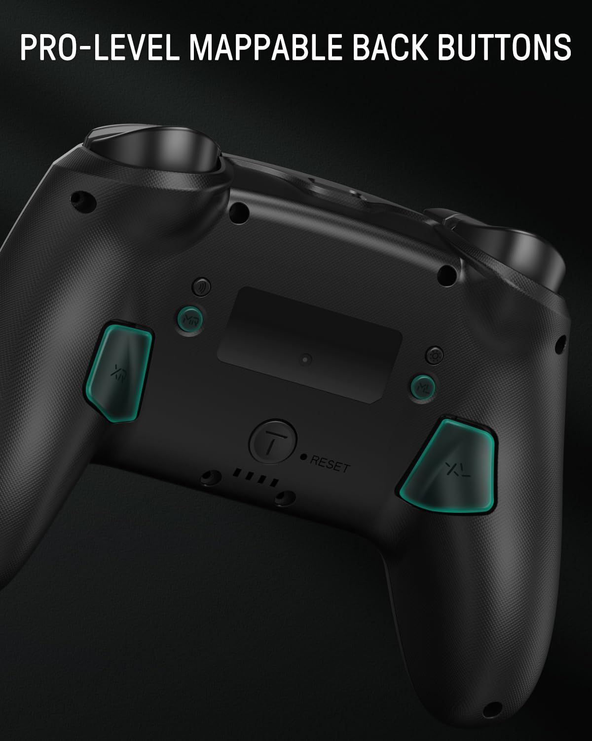 PRO-LEVEL MAPPABLE BACK BUTTONS