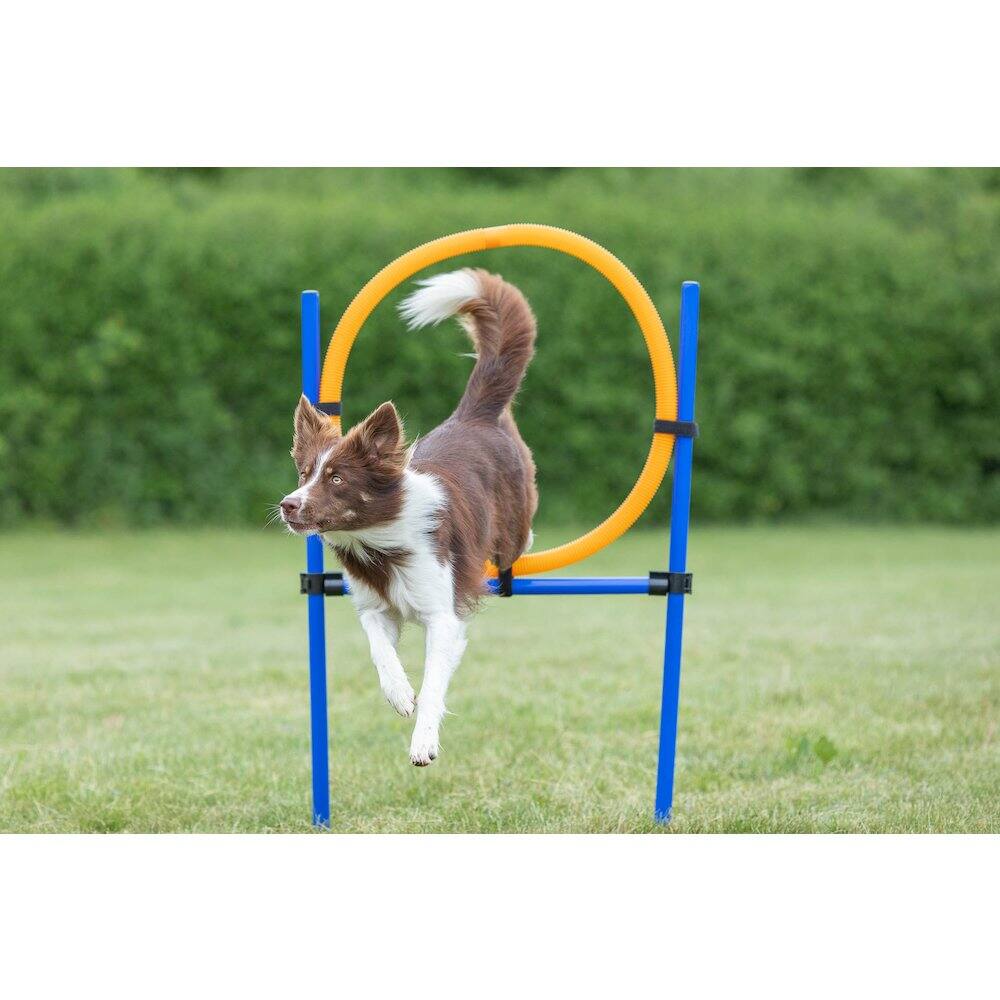Left. TRIXIE - Dog Agility Jumping Ring Training  Set - Blue/Orange.