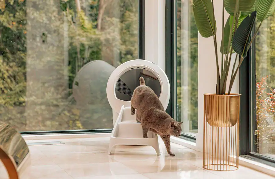 Whisker Litter Robot 4 Ramp White LR4-9189 - Best Buy
