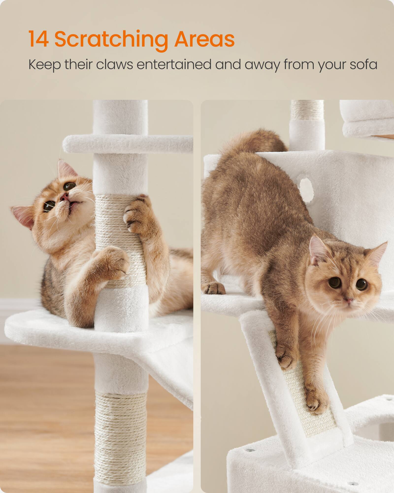 14 Scratching Areas  
Keep their claws entertained and away from your sofa
